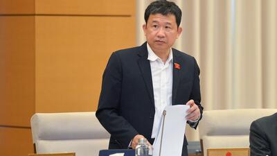 Chủ nhiệm Ủy ban Đối ngoại của Quốc hội Vũ Hải Hà trình bày báo cáo thẩm tra