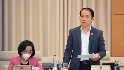 Chủ nhiệm Ủy ban Pháp luật Hoàng Thanh Tùng phát biểu